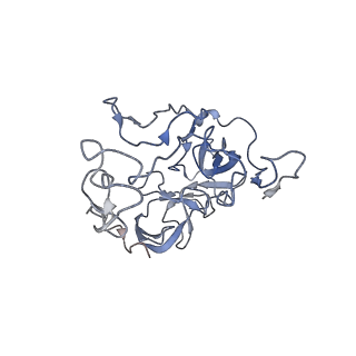 3899_6enj_C_v1-2
Polyproline-stalled ribosome in the presence of A+P site tRNA and elongation-factor P (EF-P)