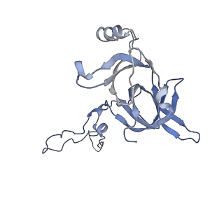 3899_6enj_D_v1-2
Polyproline-stalled ribosome in the presence of A+P site tRNA and elongation-factor P (EF-P)