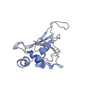 3899_6enj_F_v1-2
Polyproline-stalled ribosome in the presence of A+P site tRNA and elongation-factor P (EF-P)