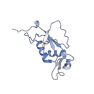 3899_6enj_J_v1-2
Polyproline-stalled ribosome in the presence of A+P site tRNA and elongation-factor P (EF-P)
