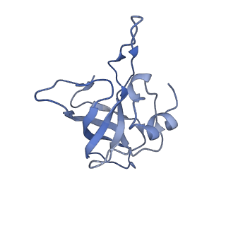 3899_6enj_K_v1-2
Polyproline-stalled ribosome in the presence of A+P site tRNA and elongation-factor P (EF-P)