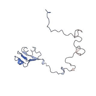 3899_6enj_L_v1-2
Polyproline-stalled ribosome in the presence of A+P site tRNA and elongation-factor P (EF-P)
