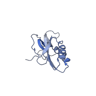 3899_6enj_M_v1-2
Polyproline-stalled ribosome in the presence of A+P site tRNA and elongation-factor P (EF-P)