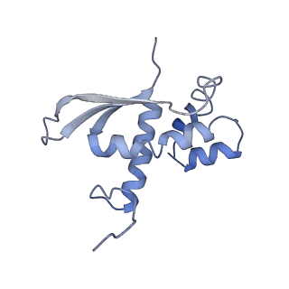 3899_6enj_N_v1-2
Polyproline-stalled ribosome in the presence of A+P site tRNA and elongation-factor P (EF-P)