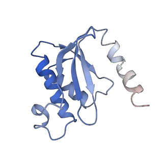 3899_6enj_O_v1-2
Polyproline-stalled ribosome in the presence of A+P site tRNA and elongation-factor P (EF-P)