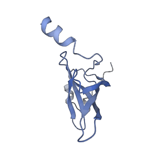 3899_6enj_P_v1-2
Polyproline-stalled ribosome in the presence of A+P site tRNA and elongation-factor P (EF-P)
