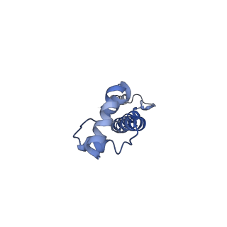 3899_6enj_Q_v1-2
Polyproline-stalled ribosome in the presence of A+P site tRNA and elongation-factor P (EF-P)