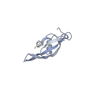3899_6enj_T_v1-2
Polyproline-stalled ribosome in the presence of A+P site tRNA and elongation-factor P (EF-P)