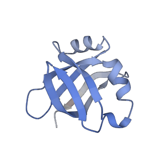3899_6enj_V_v1-2
Polyproline-stalled ribosome in the presence of A+P site tRNA and elongation-factor P (EF-P)