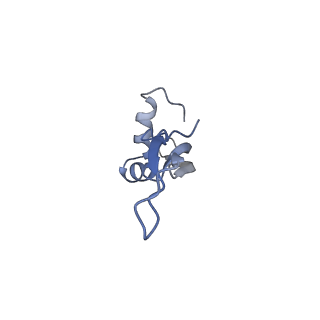 3899_6enj_X_v1-2
Polyproline-stalled ribosome in the presence of A+P site tRNA and elongation-factor P (EF-P)