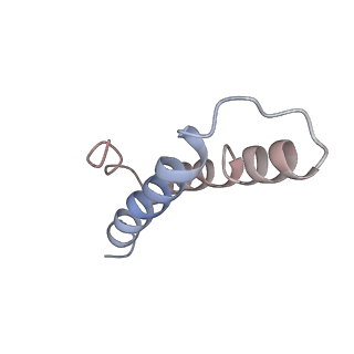 3899_6enj_Y_v1-2
Polyproline-stalled ribosome in the presence of A+P site tRNA and elongation-factor P (EF-P)