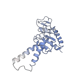 3899_6enj_b_v1-2
Polyproline-stalled ribosome in the presence of A+P site tRNA and elongation-factor P (EF-P)