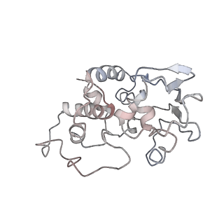 3899_6enj_d_v1-2
Polyproline-stalled ribosome in the presence of A+P site tRNA and elongation-factor P (EF-P)