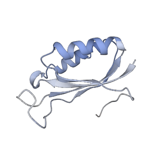 3899_6enj_f_v1-2
Polyproline-stalled ribosome in the presence of A+P site tRNA and elongation-factor P (EF-P)