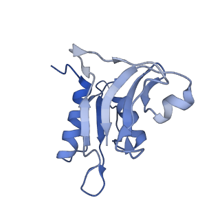 3899_6enj_h_v1-2
Polyproline-stalled ribosome in the presence of A+P site tRNA and elongation-factor P (EF-P)