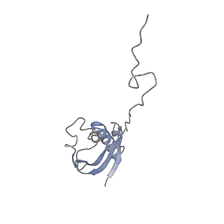 3899_6enj_i_v1-2
Polyproline-stalled ribosome in the presence of A+P site tRNA and elongation-factor P (EF-P)