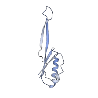 3899_6enj_j_v1-2
Polyproline-stalled ribosome in the presence of A+P site tRNA and elongation-factor P (EF-P)