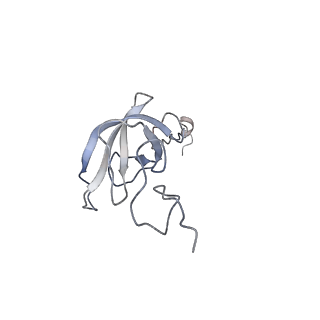 3899_6enj_l_v1-2
Polyproline-stalled ribosome in the presence of A+P site tRNA and elongation-factor P (EF-P)