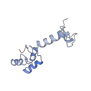 3899_6enj_m_v1-2
Polyproline-stalled ribosome in the presence of A+P site tRNA and elongation-factor P (EF-P)