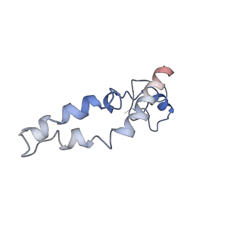 3899_6enj_n_v1-2
Polyproline-stalled ribosome in the presence of A+P site tRNA and elongation-factor P (EF-P)