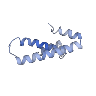 3899_6enj_o_v1-2
Polyproline-stalled ribosome in the presence of A+P site tRNA and elongation-factor P (EF-P)