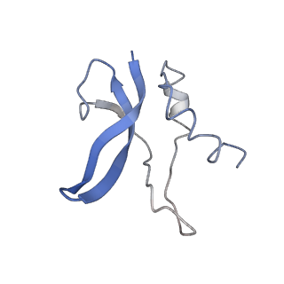 3899_6enj_p_v1-2
Polyproline-stalled ribosome in the presence of A+P site tRNA and elongation-factor P (EF-P)
