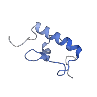 3899_6enj_r_v1-2
Polyproline-stalled ribosome in the presence of A+P site tRNA and elongation-factor P (EF-P)