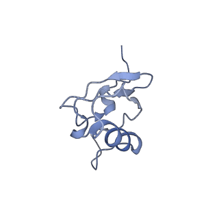3899_6enj_s_v1-2
Polyproline-stalled ribosome in the presence of A+P site tRNA and elongation-factor P (EF-P)