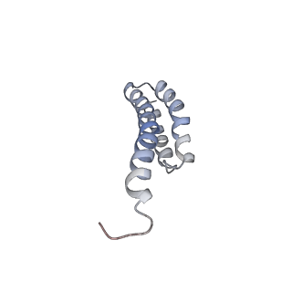 3899_6enj_t_v1-2
Polyproline-stalled ribosome in the presence of A+P site tRNA and elongation-factor P (EF-P)