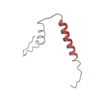 3899_6enj_u_v1-2
Polyproline-stalled ribosome in the presence of A+P site tRNA and elongation-factor P (EF-P)