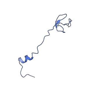 3903_6enu_0_v1-1
Polyproline-stalled ribosome in the presence of elongation-factor P (EF-P)