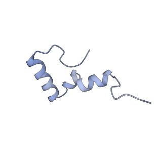 3903_6enu_2_v1-1
Polyproline-stalled ribosome in the presence of elongation-factor P (EF-P)