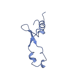 3903_6enu_3_v1-1
Polyproline-stalled ribosome in the presence of elongation-factor P (EF-P)