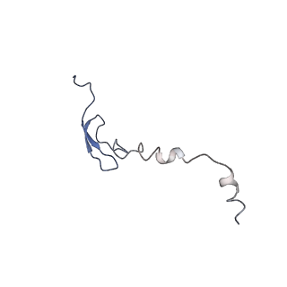 3903_6enu_6_v1-1
Polyproline-stalled ribosome in the presence of elongation-factor P (EF-P)