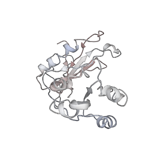 3903_6enu_7_v1-1
Polyproline-stalled ribosome in the presence of elongation-factor P (EF-P)