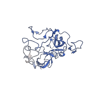 3903_6enu_C_v1-1
Polyproline-stalled ribosome in the presence of elongation-factor P (EF-P)