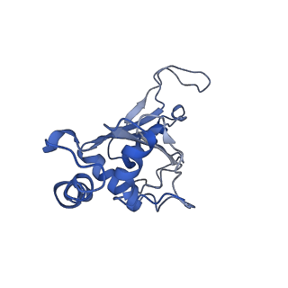 3903_6enu_F_v1-1
Polyproline-stalled ribosome in the presence of elongation-factor P (EF-P)