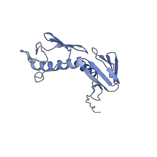 3903_6enu_G_v1-1
Polyproline-stalled ribosome in the presence of elongation-factor P (EF-P)