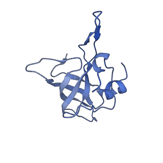 3903_6enu_K_v1-1
Polyproline-stalled ribosome in the presence of elongation-factor P (EF-P)