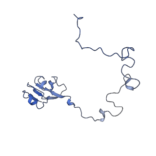 3903_6enu_L_v1-1
Polyproline-stalled ribosome in the presence of elongation-factor P (EF-P)