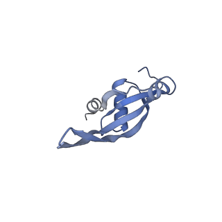 3903_6enu_T_v1-1
Polyproline-stalled ribosome in the presence of elongation-factor P (EF-P)