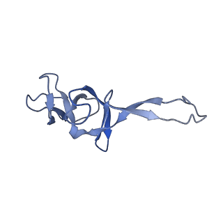 3903_6enu_U_v1-1
Polyproline-stalled ribosome in the presence of elongation-factor P (EF-P)