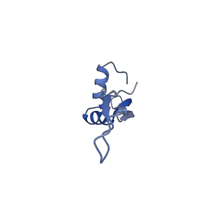 3903_6enu_X_v1-1
Polyproline-stalled ribosome in the presence of elongation-factor P (EF-P)