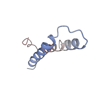 3903_6enu_Y_v1-1
Polyproline-stalled ribosome in the presence of elongation-factor P (EF-P)
