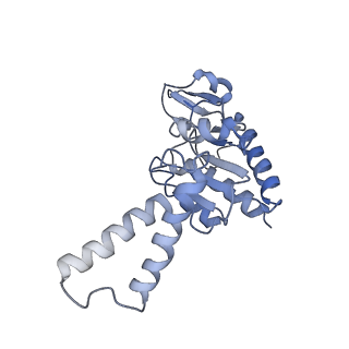 3903_6enu_b_v1-1
Polyproline-stalled ribosome in the presence of elongation-factor P (EF-P)