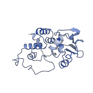 3903_6enu_d_v1-1
Polyproline-stalled ribosome in the presence of elongation-factor P (EF-P)