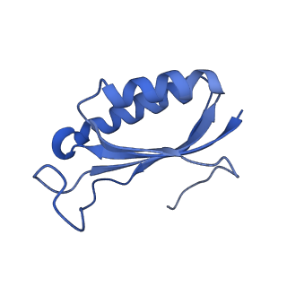 3903_6enu_f_v1-1
Polyproline-stalled ribosome in the presence of elongation-factor P (EF-P)