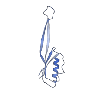 3903_6enu_j_v1-1
Polyproline-stalled ribosome in the presence of elongation-factor P (EF-P)