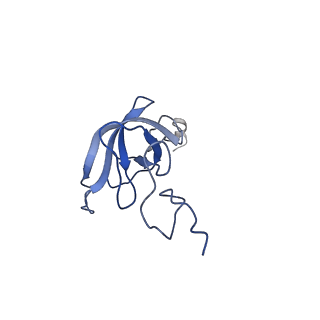 3903_6enu_l_v1-1
Polyproline-stalled ribosome in the presence of elongation-factor P (EF-P)