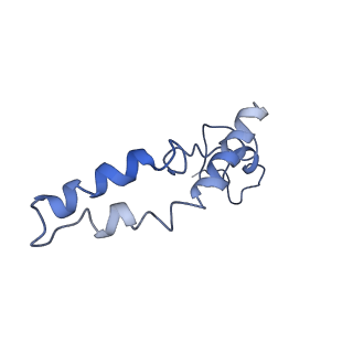 3903_6enu_n_v1-1
Polyproline-stalled ribosome in the presence of elongation-factor P (EF-P)